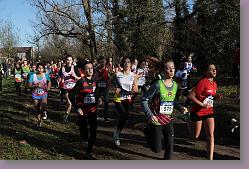 Begles 15.12.13 01 457 * 679 x 453 * (167KB)